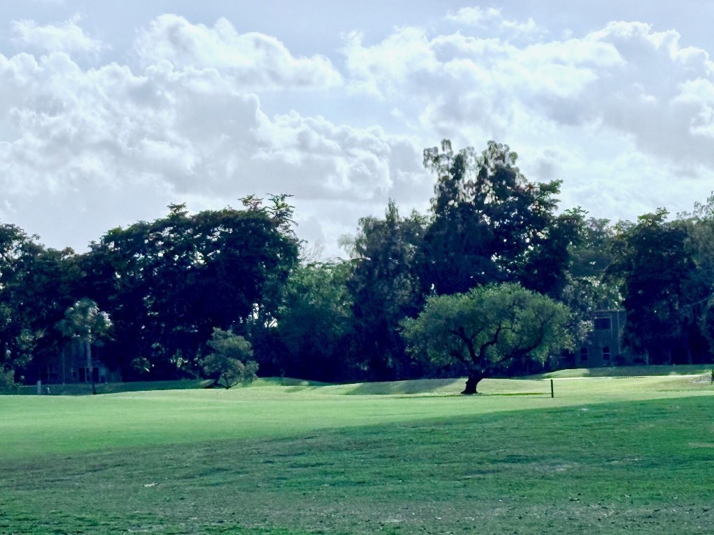 Oriole Golf & Tennis TWO - Residential