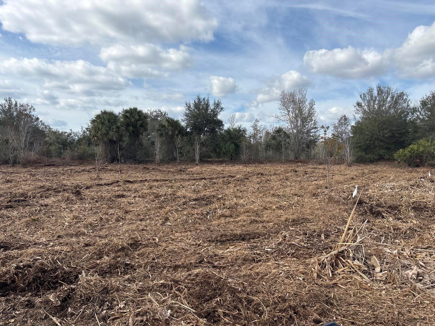 VK316 Viking Estates - Land