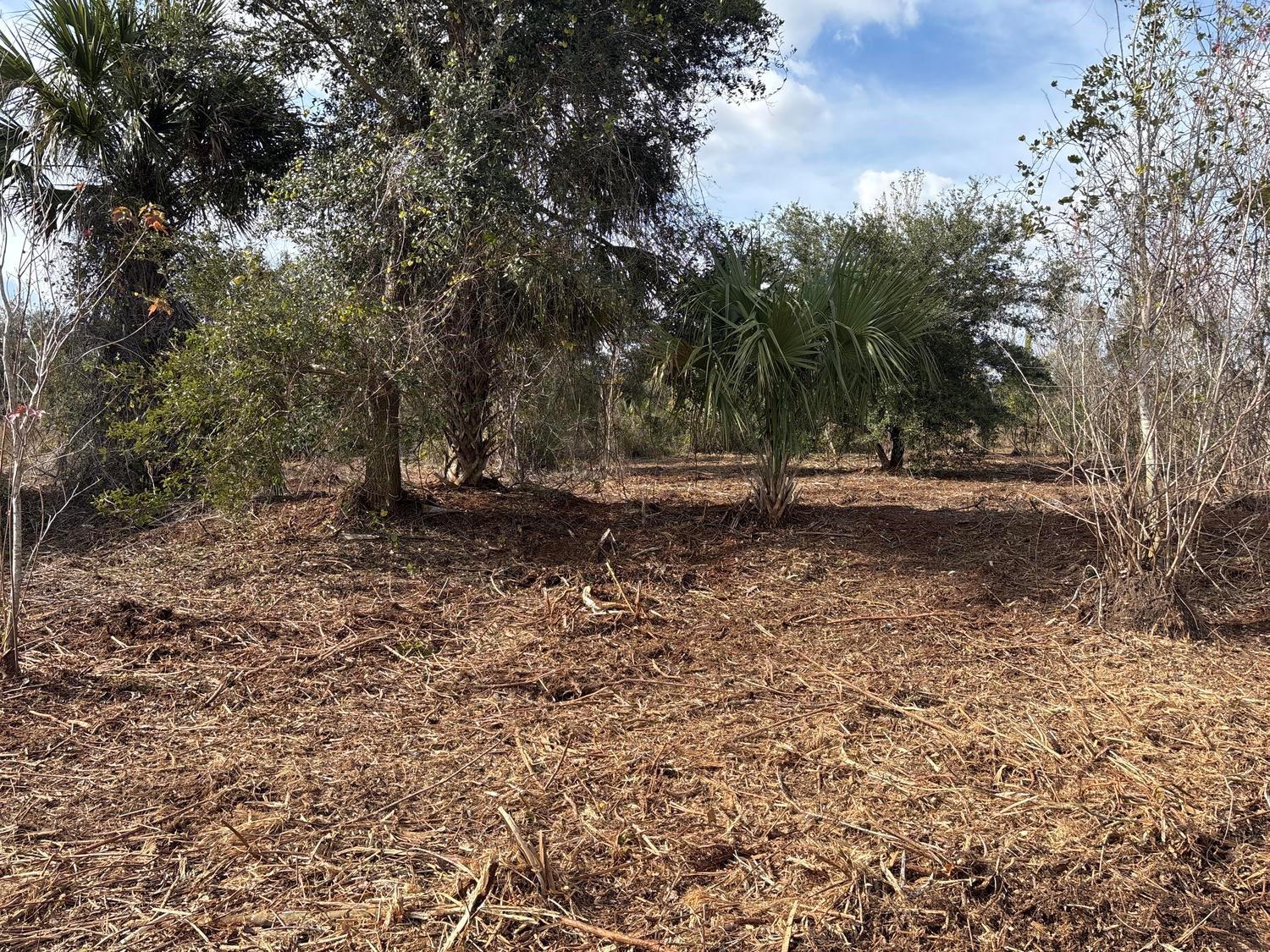 VK316 Viking Estates - Land