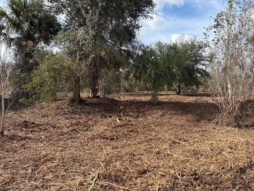 1.25 acres in Viking Estates. Close to the Kissimmee Prairie State Park. Bring your 4 -wheelers. This property is not only ideal for recreational uses such has camping, hunting and shooting, but it’s agricultural as well.
Owner finance with only $2500 down