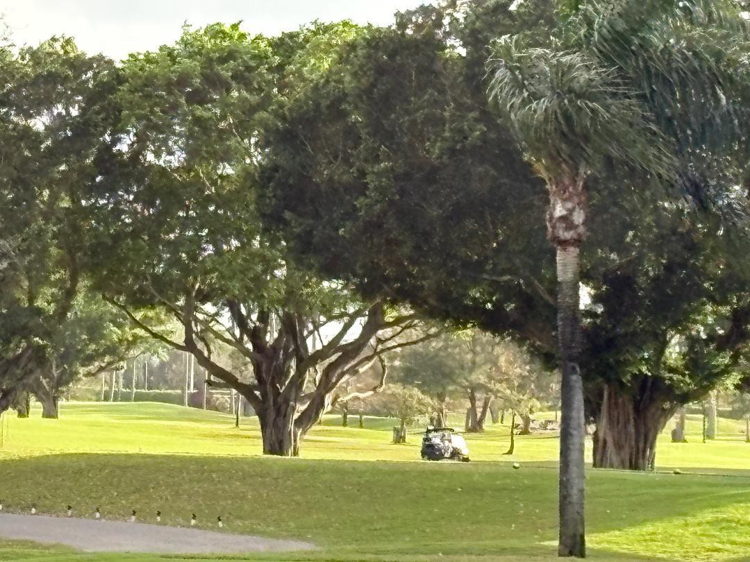 Hollybrook Golf & - Residential Lease