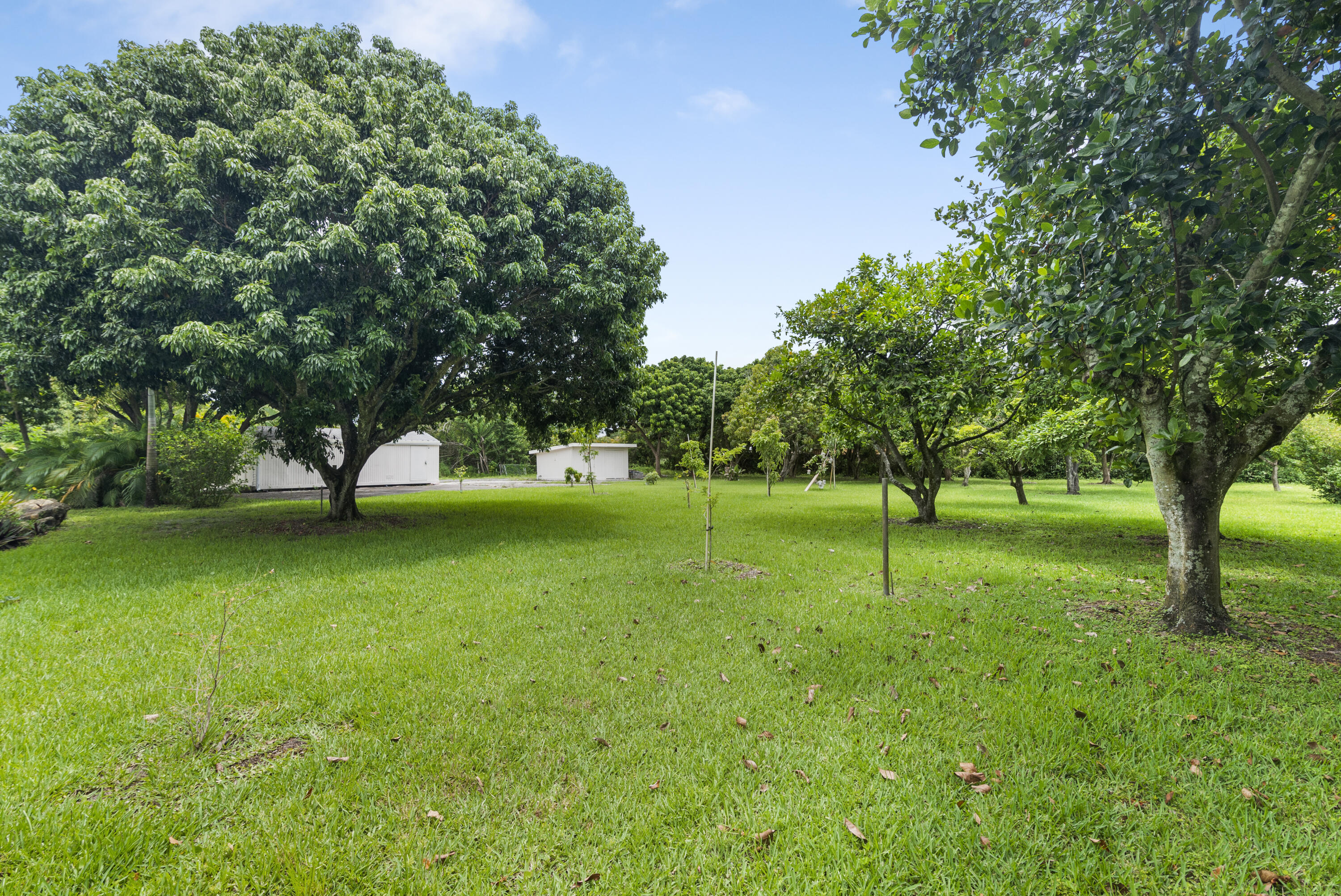 Plam Beach Farms - Residential Lease