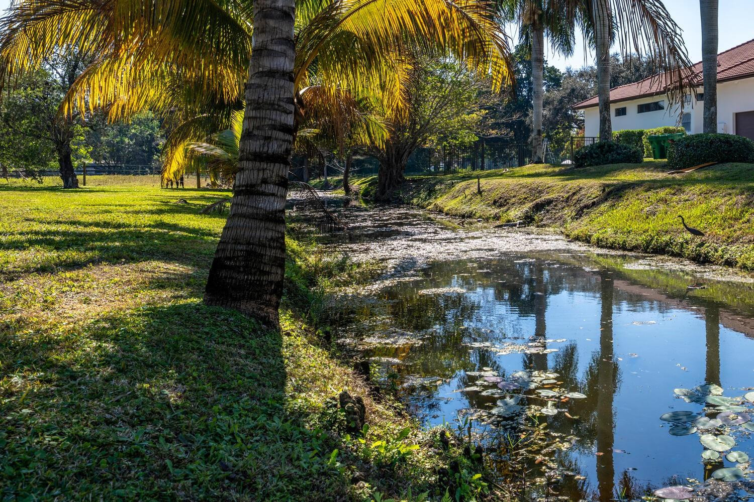 OAKHILL/FLORIDA FRUITLANDS - Residential
