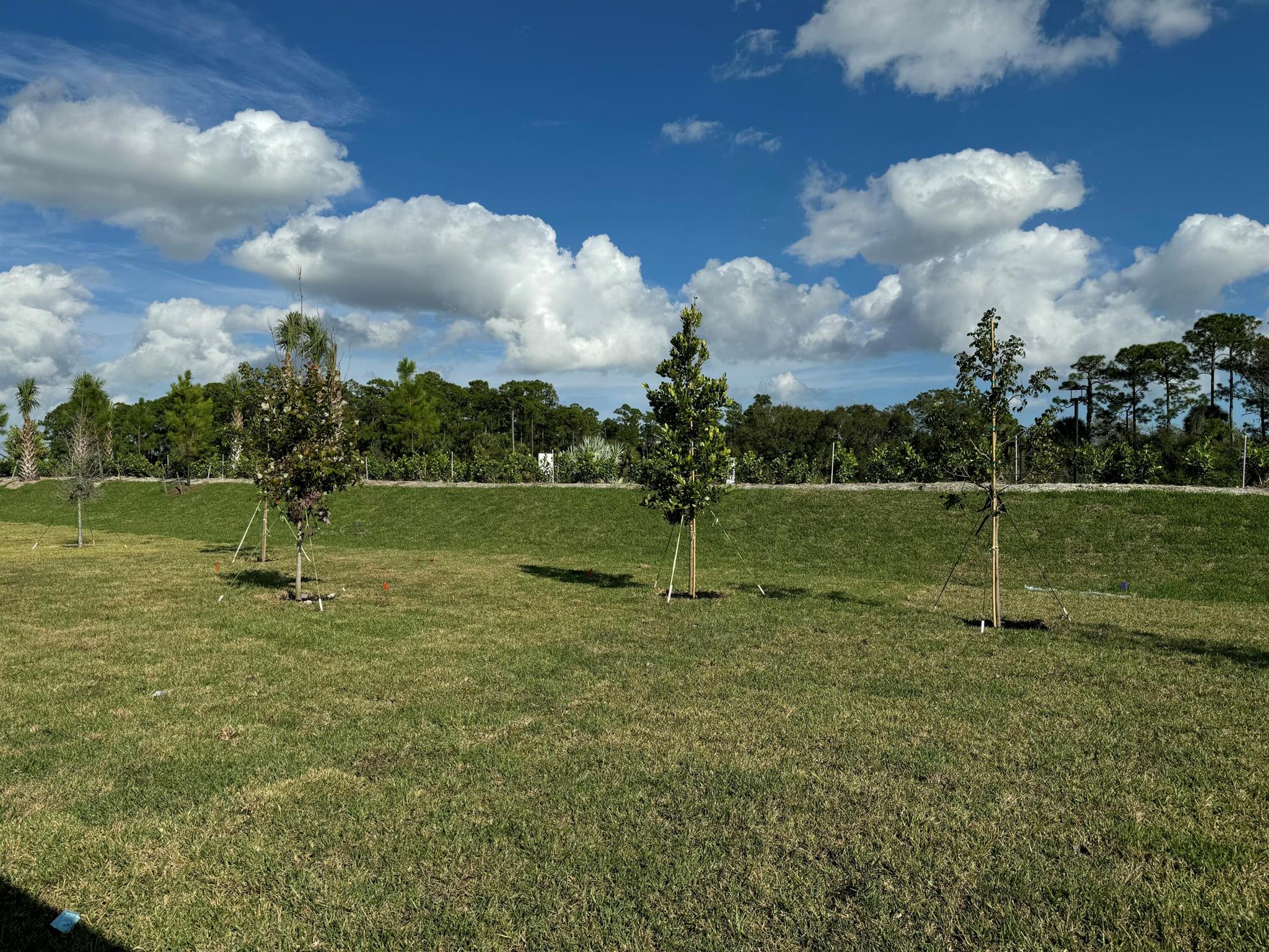 Brystol LTC RANCH WEST PO - Residential Lease