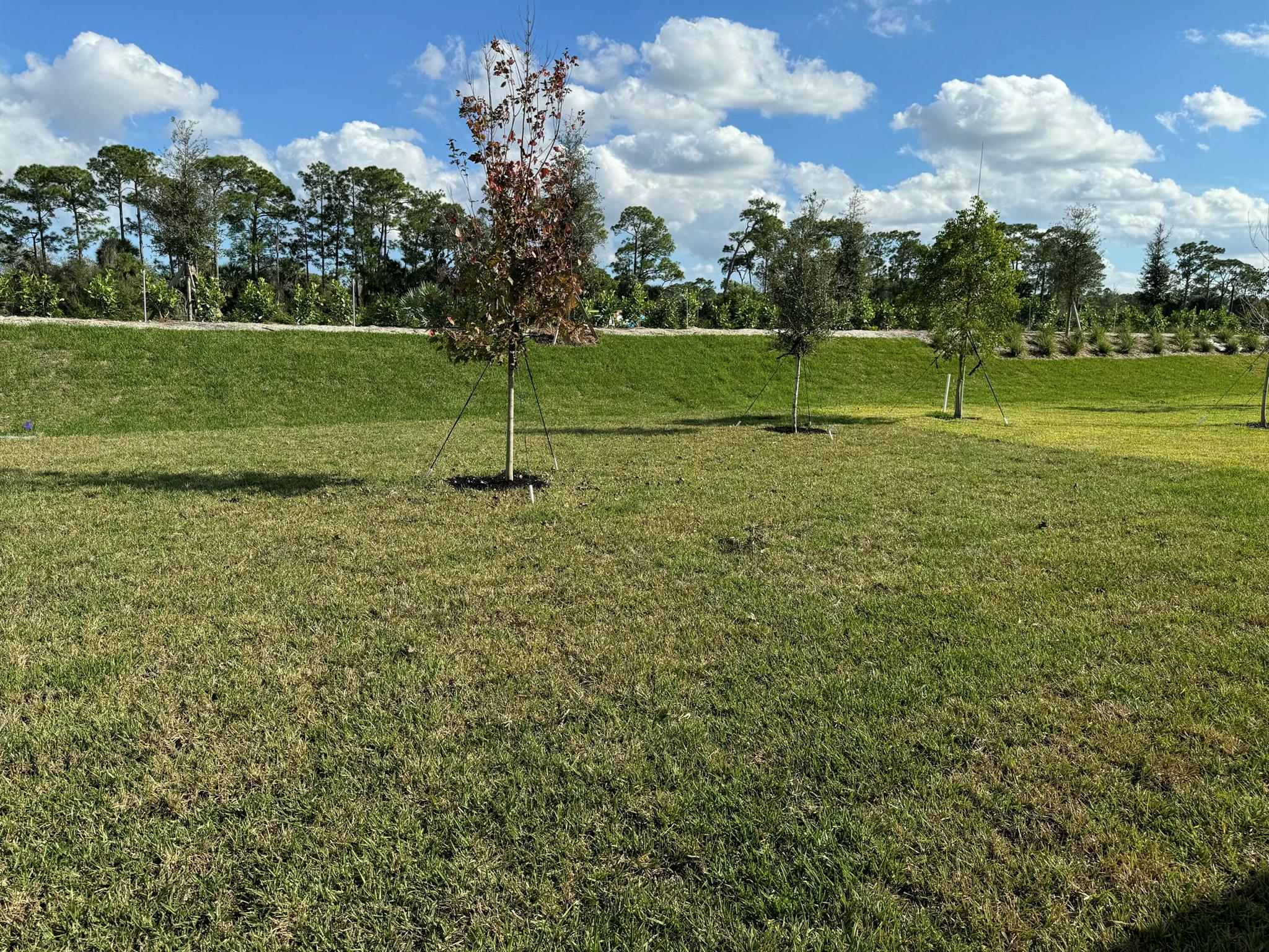 Brystol LTC RANCH WEST PO - Residential Lease