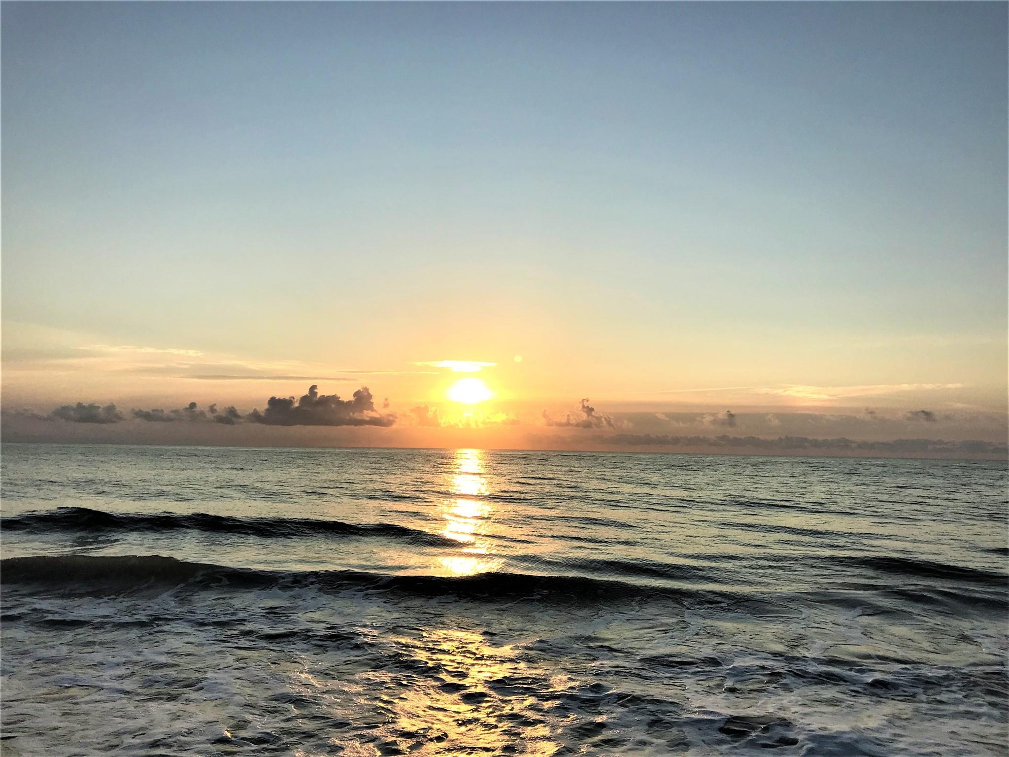 Vista Royale - Residential