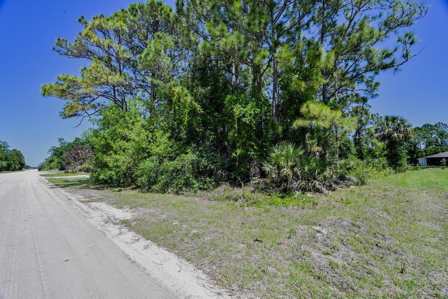 Looking for a little more room for your lifestyle? Perfect uncleared lot for an investment or to build your dream home with the builder of your choice. Prime location in Vero Lake Estates, Close to schools, shops and beaches. Priced to sell! Don't lose this one....NO HOA!!