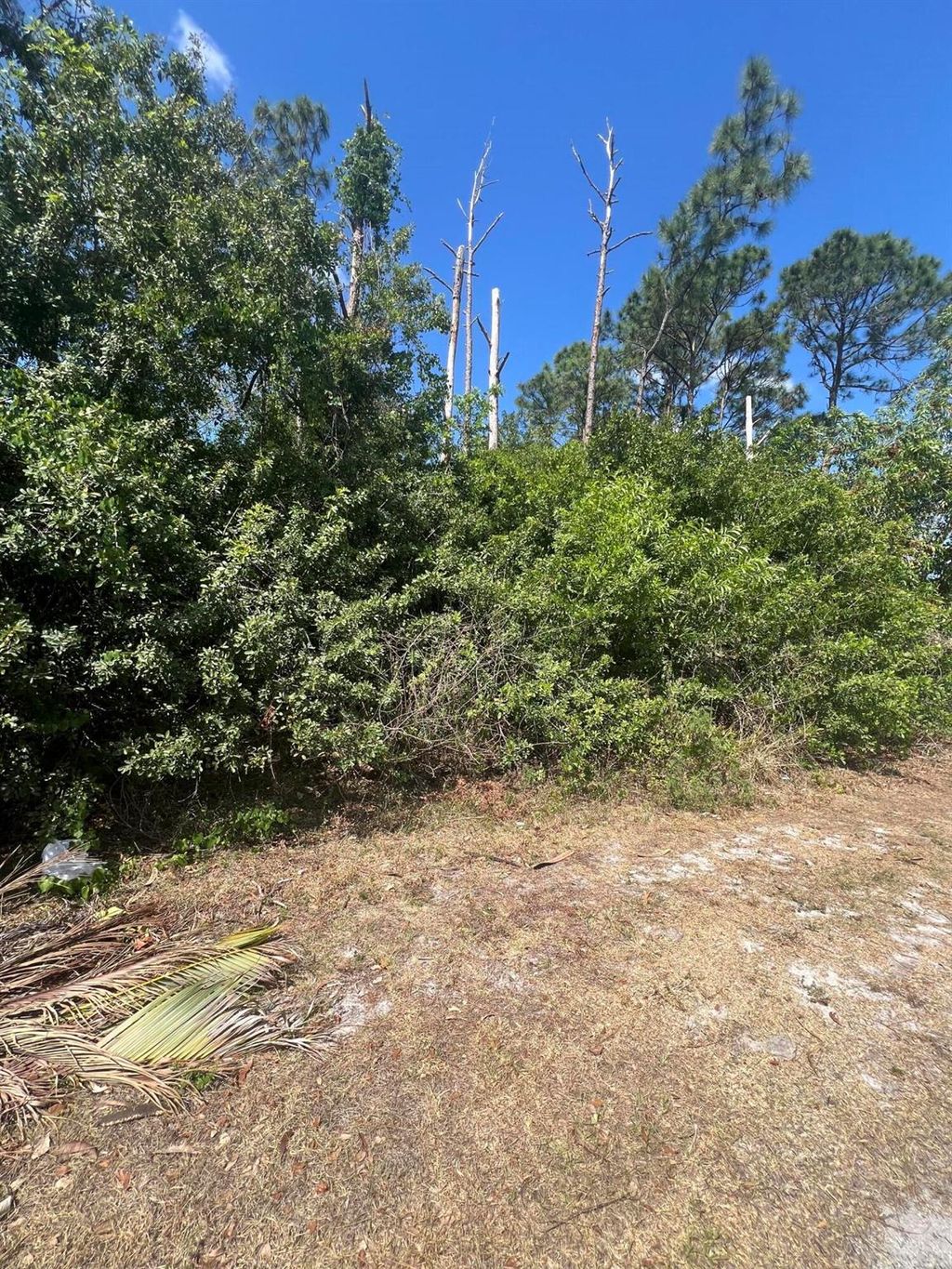 Photo of 6016 NW Relief Court, Port Saint Lucie, FL 34983 (MLS # R10982861)