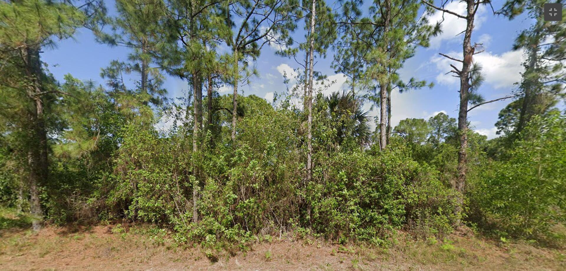 LEHIGH ACRES - Land