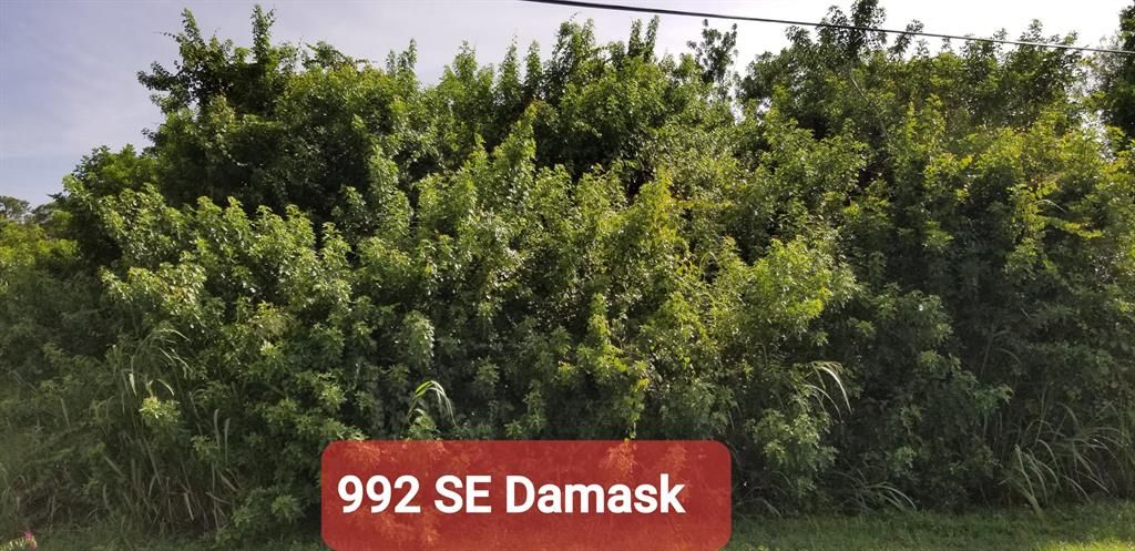 Photo of 992 SE Damask Avenue, Port Saint Lucie, FL 34983 (MLS # R10742753)