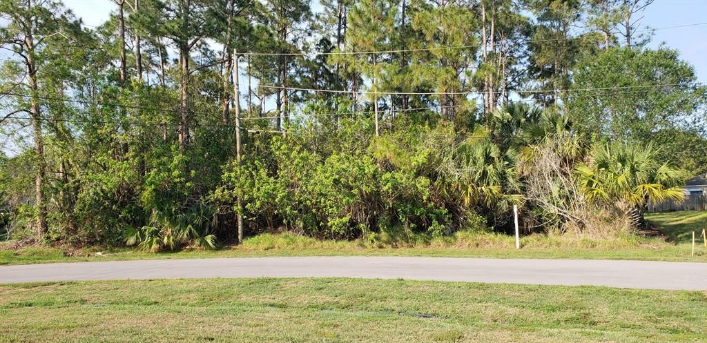 Photo of 1521 SW Neponset Road Rd, Port St Lucie, FL 34953 (MLS # R10806238)