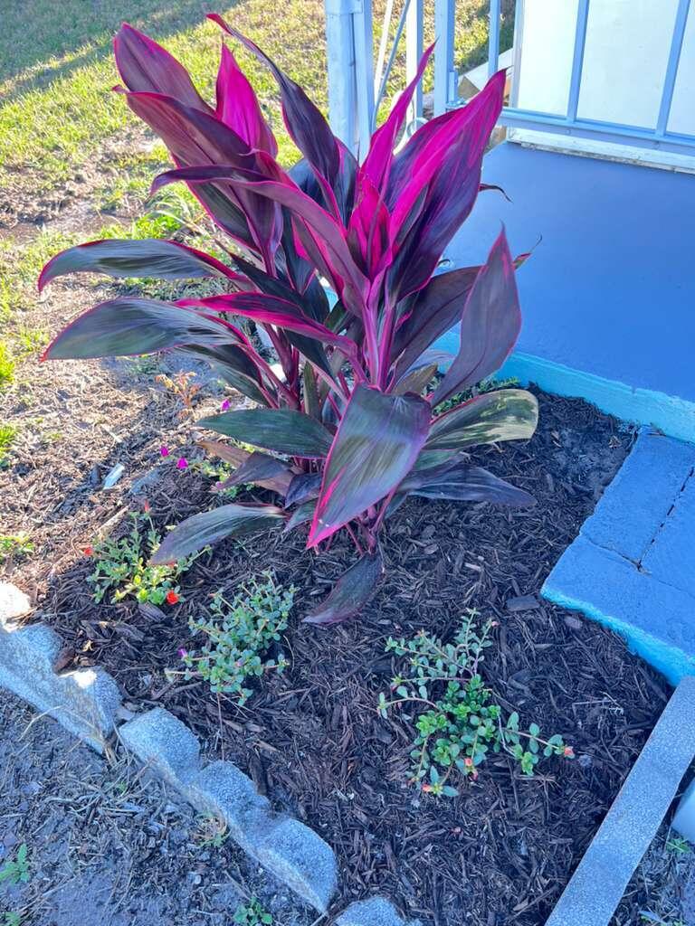 COMMONWEALTH MOBILE ESTATES - Residential