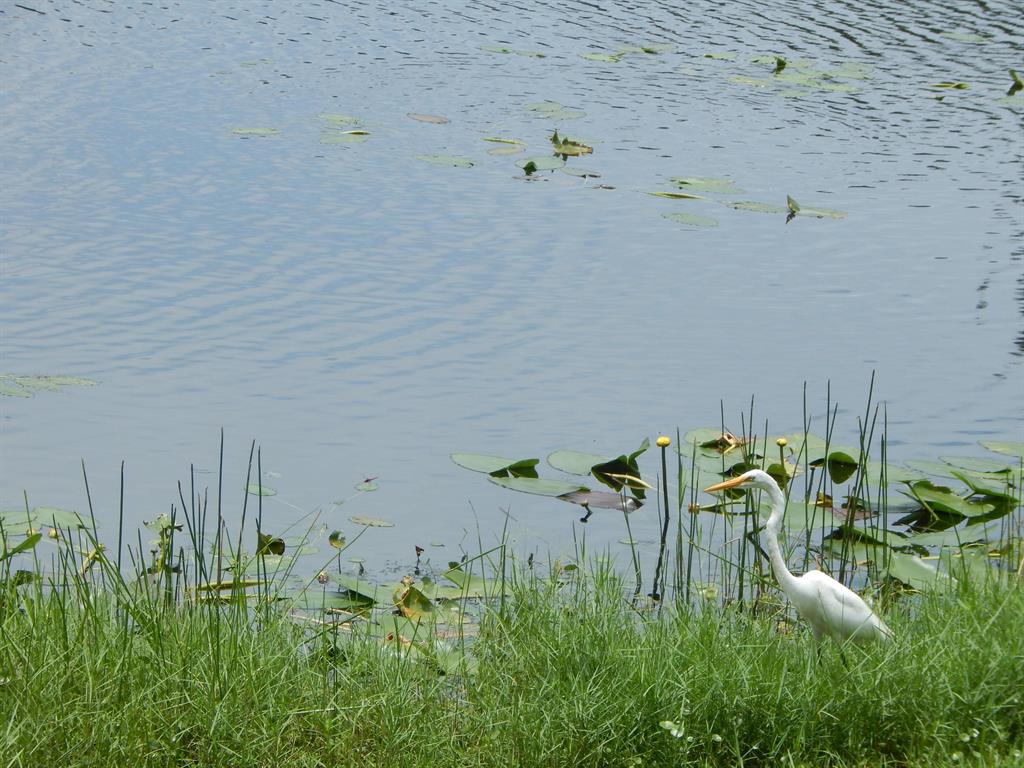 BEXLEY PARK - Residential Lease