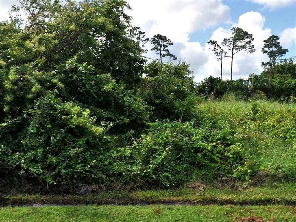 PORT ST LUCIE SECTION 10 - Land