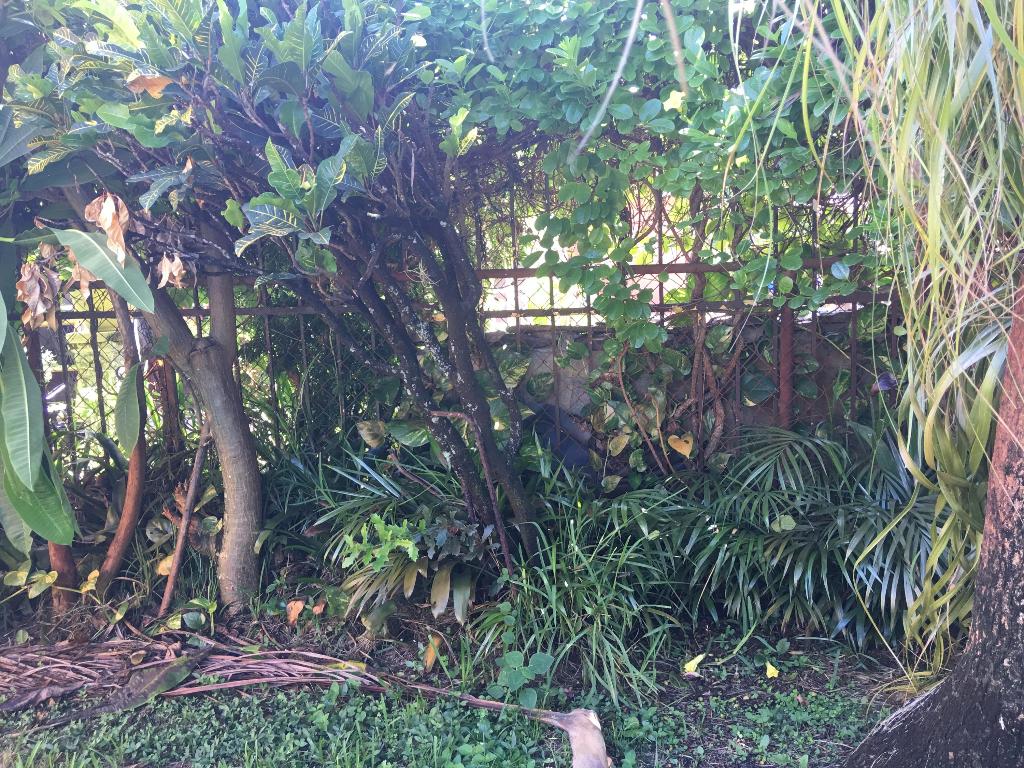 MONTEZ GARDENS - Residential Lease