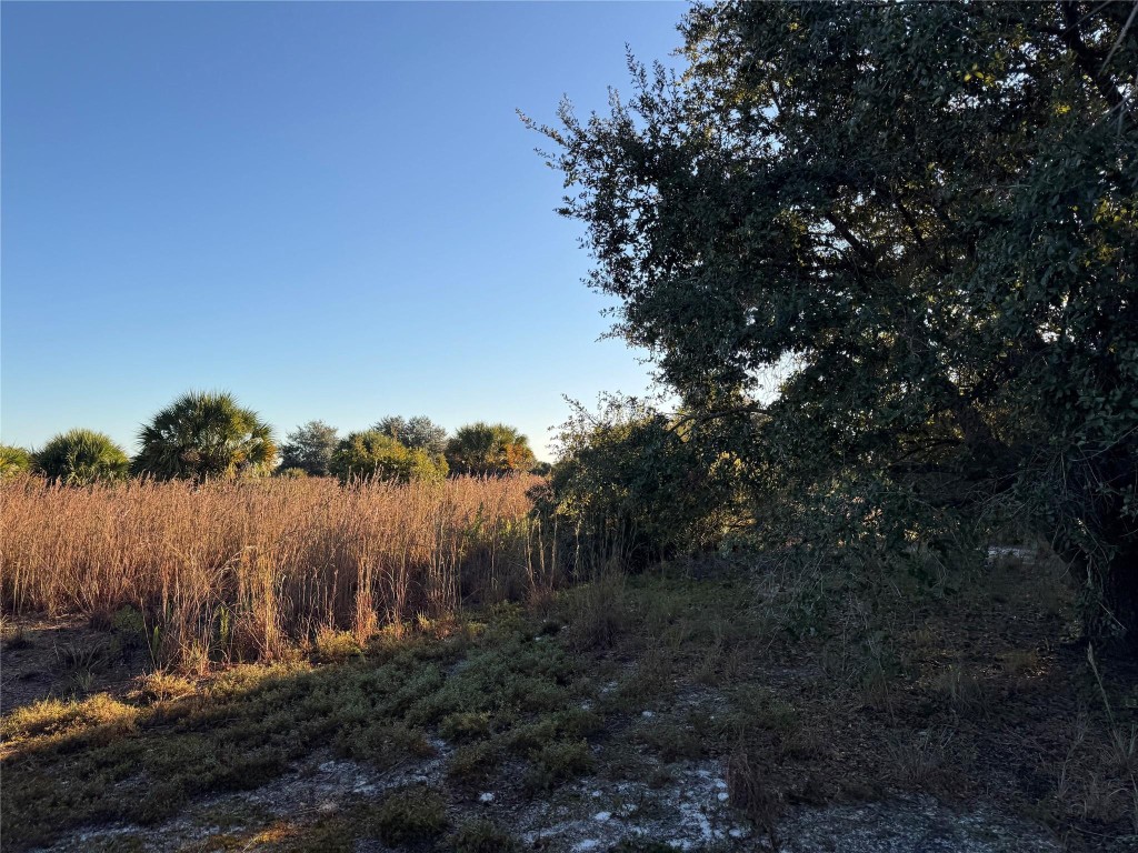 Cabbage Wood Ranches - Land