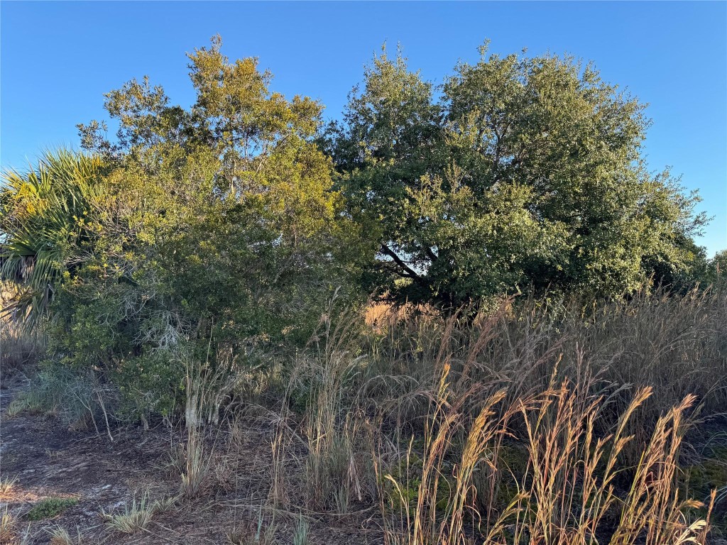 Cabbage Wood Ranches - Land