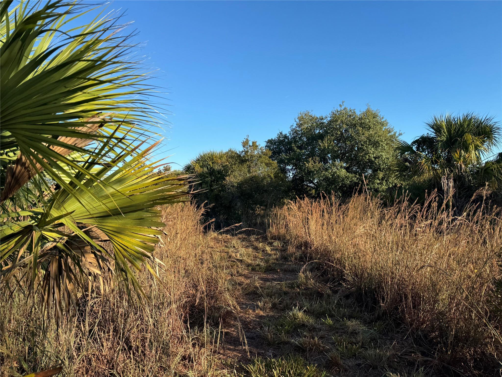 Cabbage Wood Ranches - Land