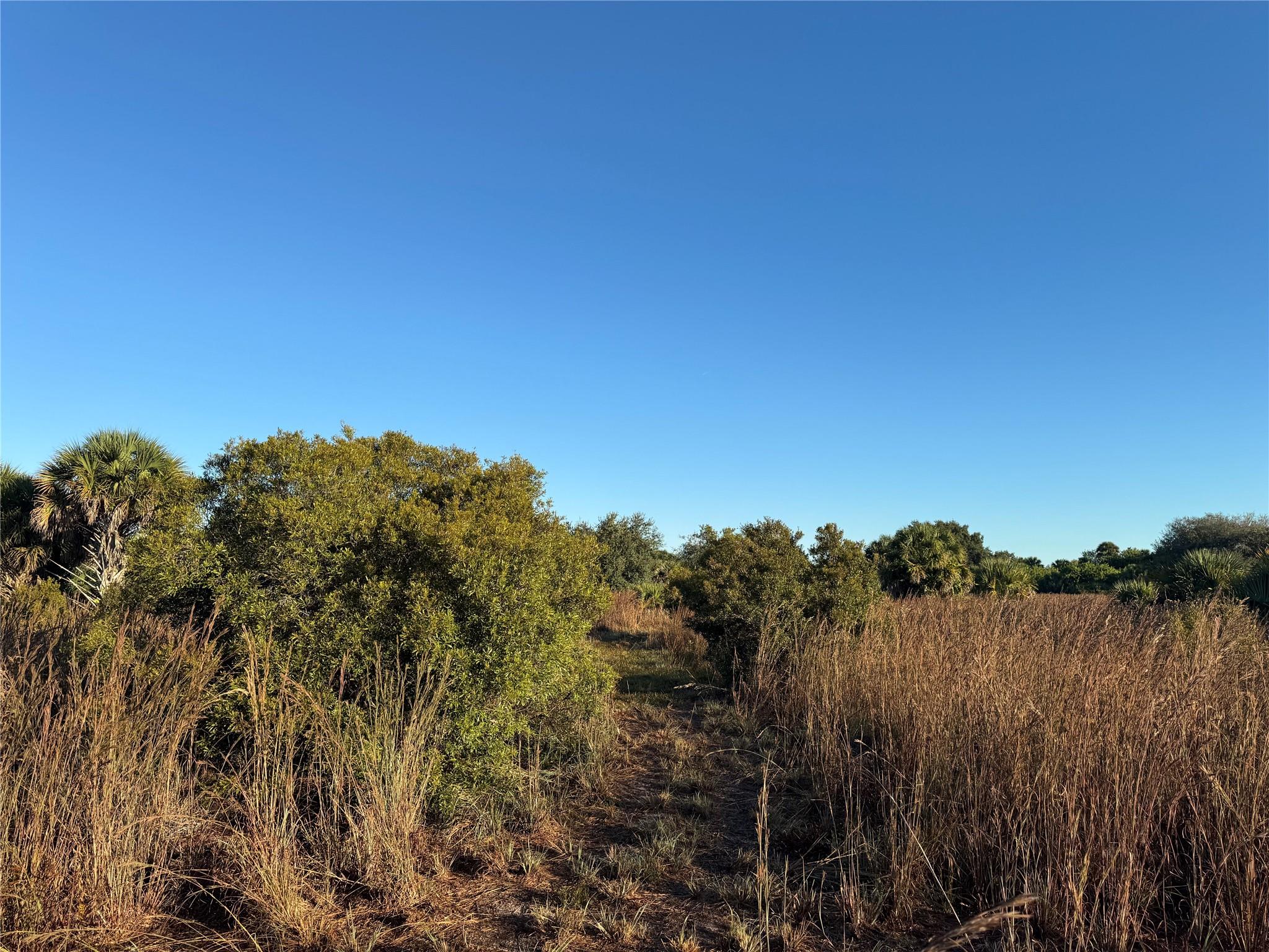 Cabbage Wood Ranches - Land