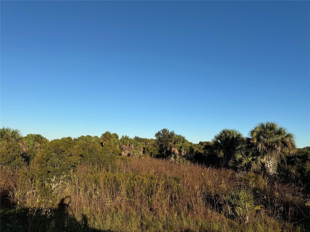 Cabbage Wood Ranches - Land