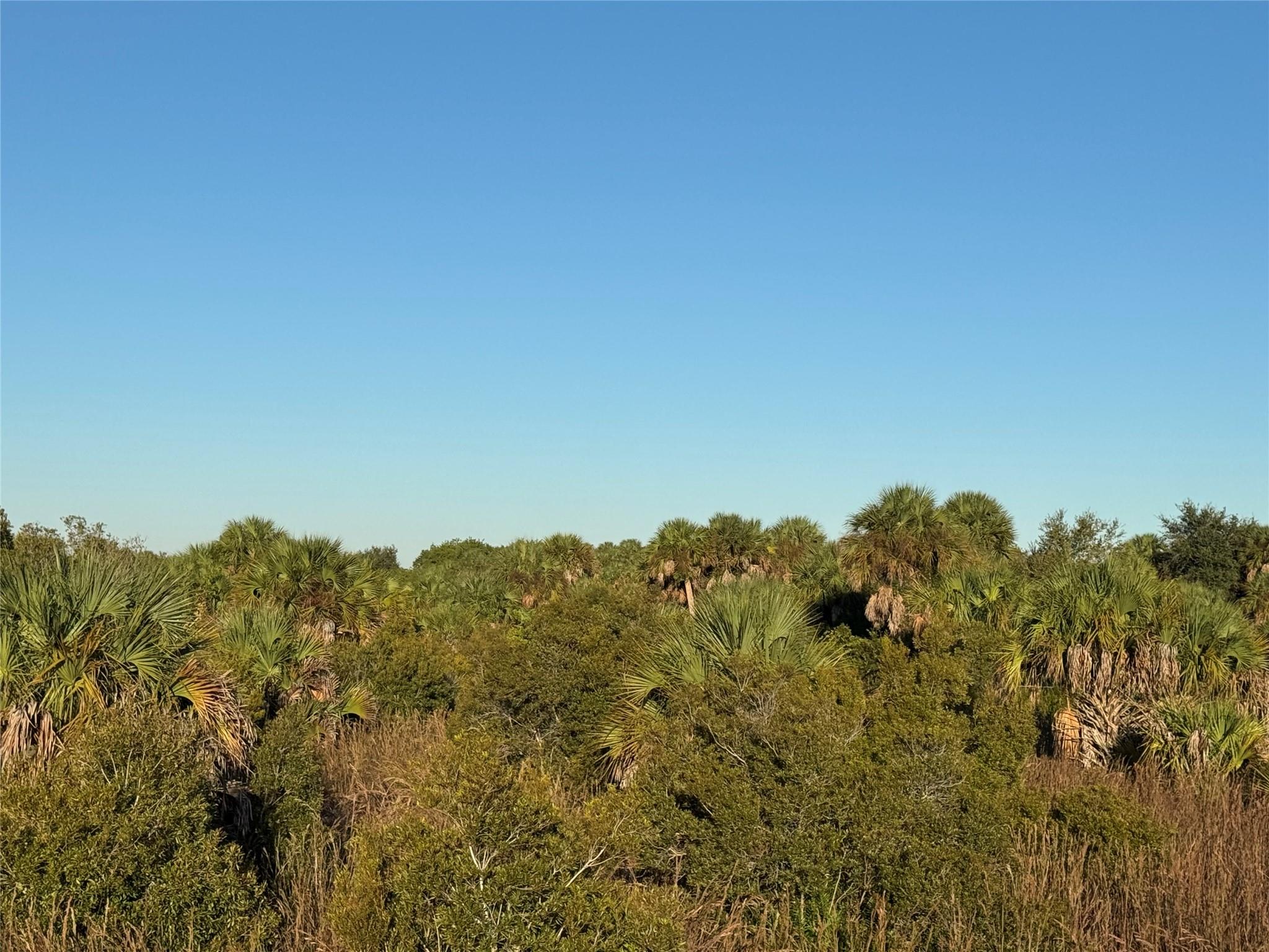 Cabbage Wood Ranches - Land