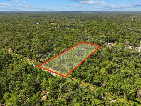 Tbd NE 230th Avenue Old Town FL 32680