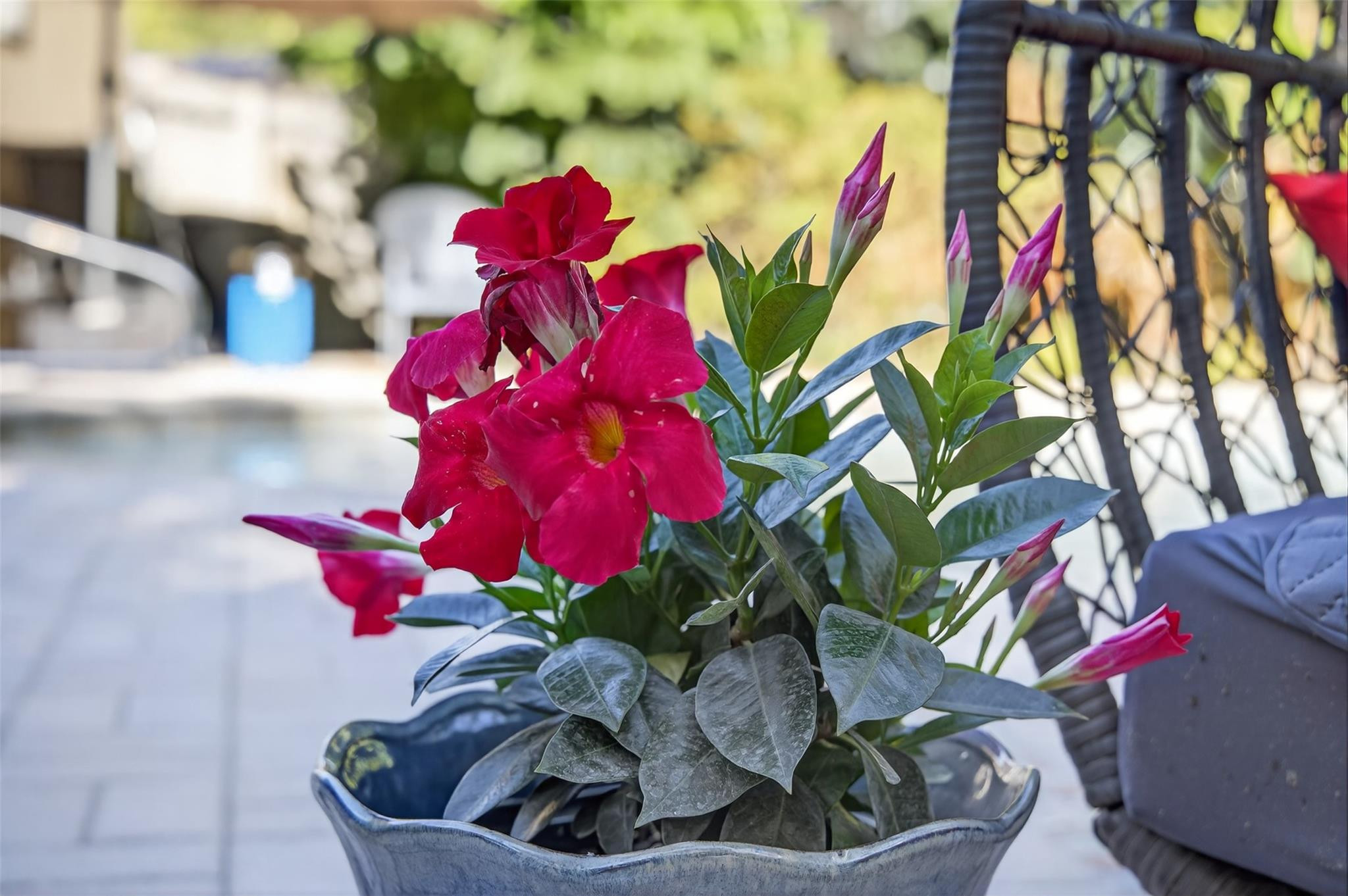 Harold A Keats Add 24-40 - Residential Lease