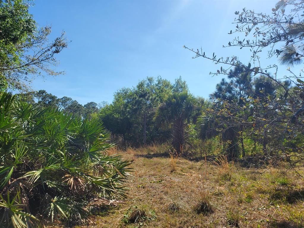 Photo of Unassigned Unassigned, Indiantown, FL 34956 (MLS # R10874745)