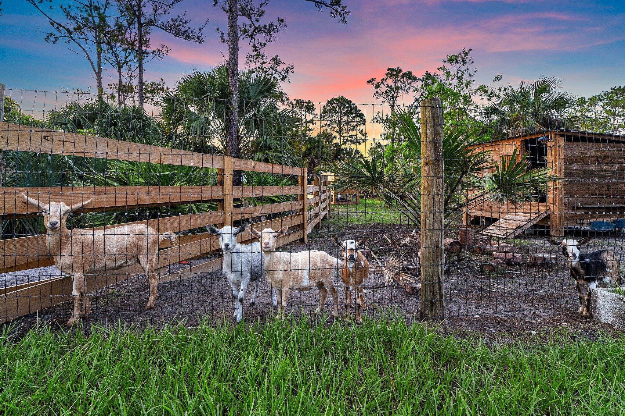 PALM CITY FARMS - Residential