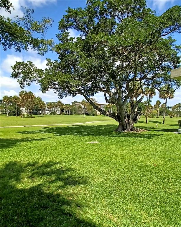 Cypress Blvd - Residential