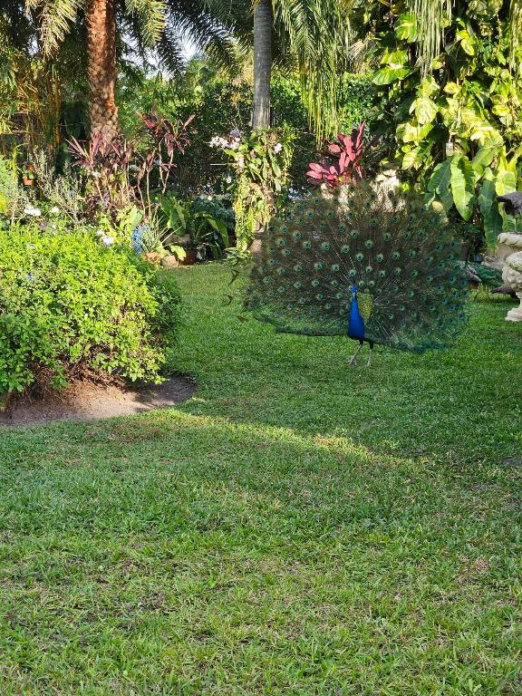 GOLF CLUB EST - Residential