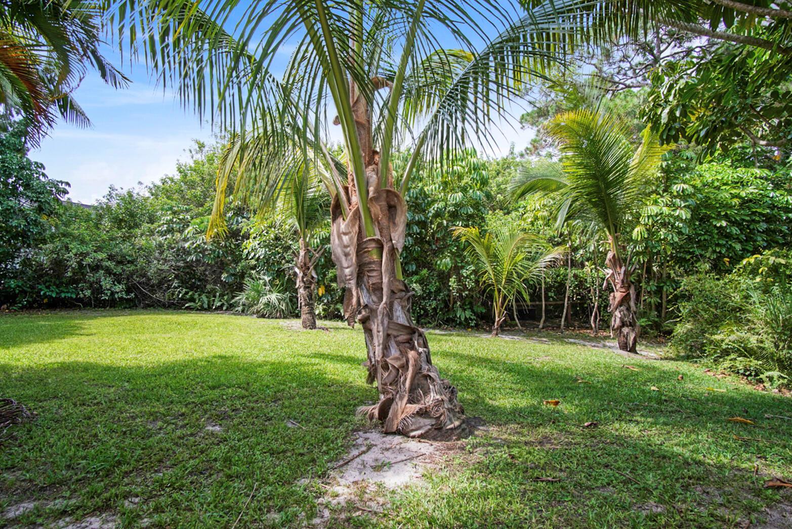 SUGARHILL - Residential