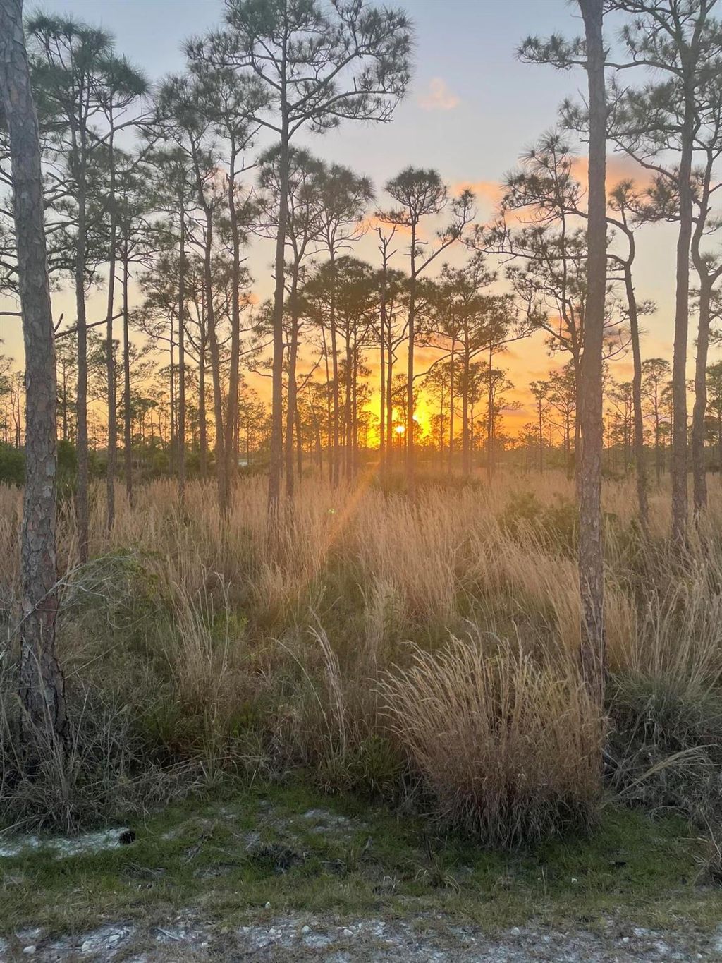 Photo of 0 SE Poinciana, Hobe Sound, FL 33455 (MLS # R11084903)