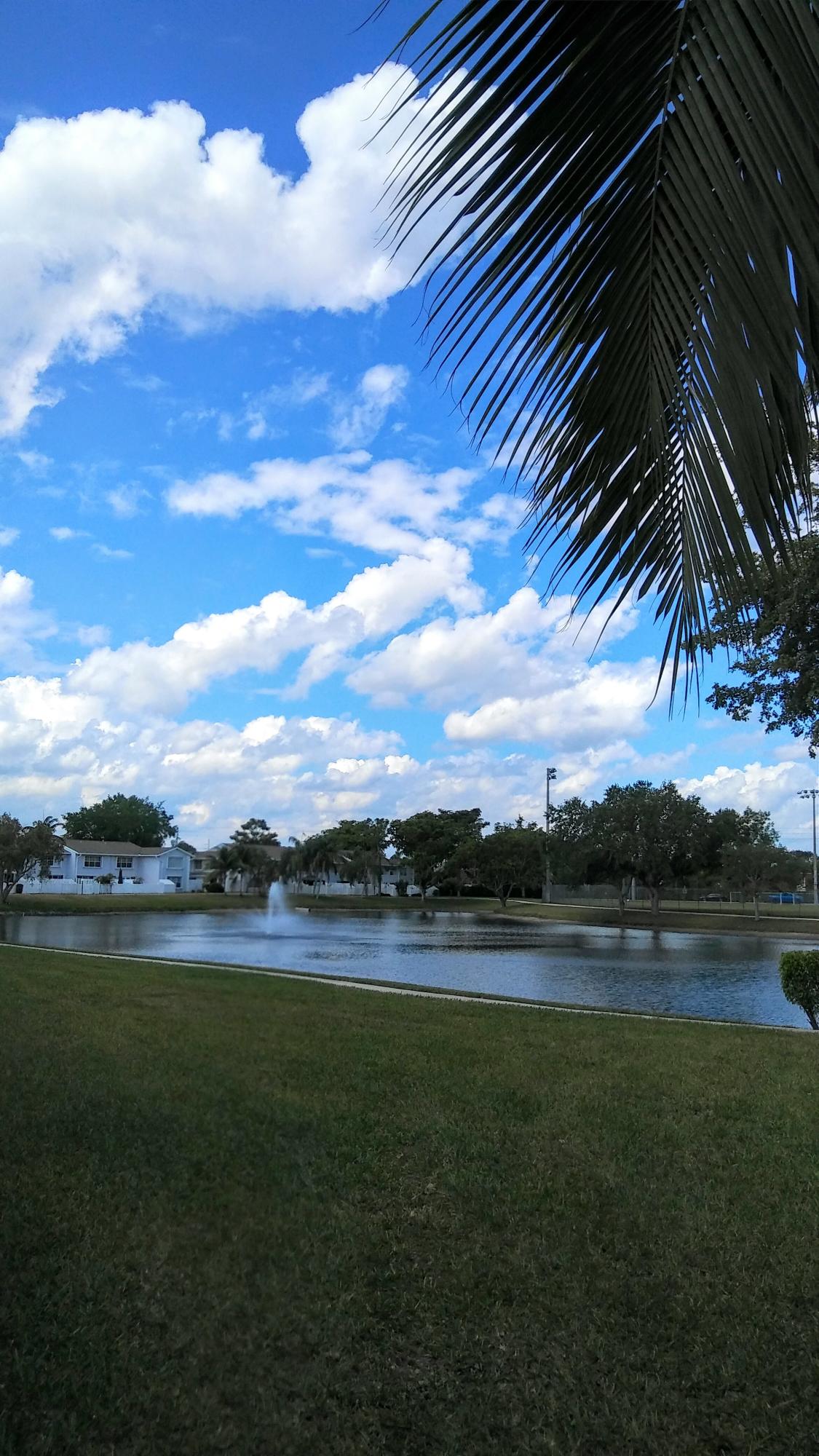 Charter Cub of ThePalm Beaches - Residential