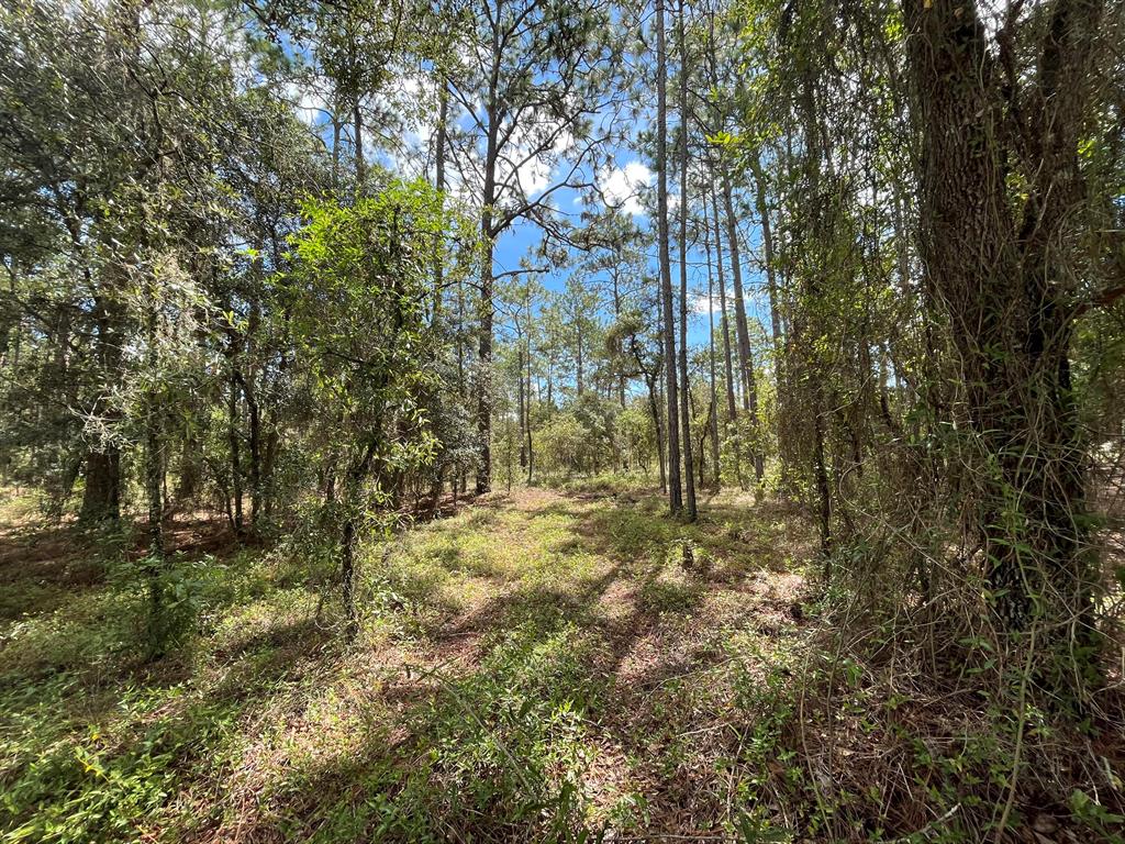 RAINBOW LAKES EST - Land