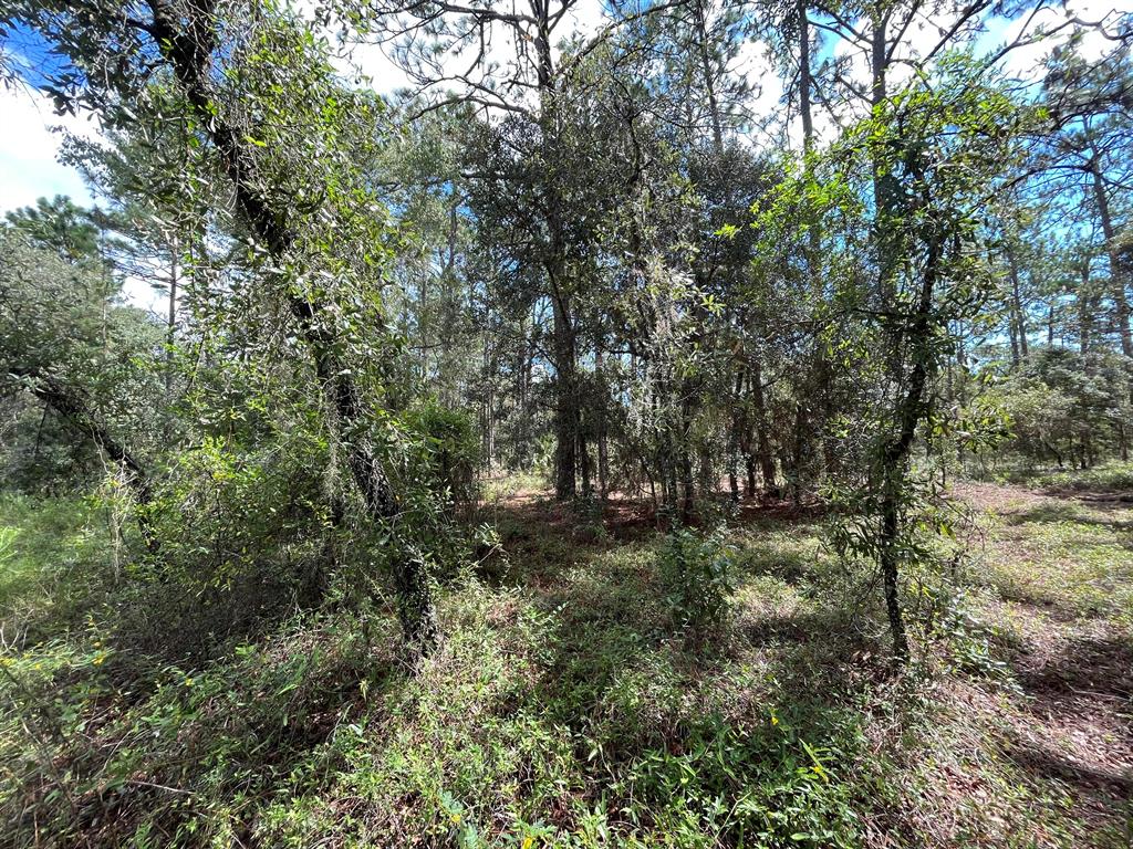 RAINBOW LAKES EST - Land