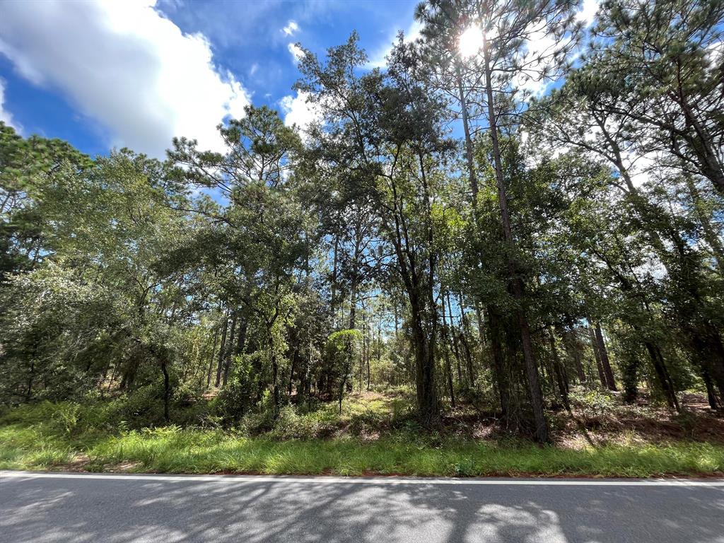 RAINBOW LAKES EST - Land