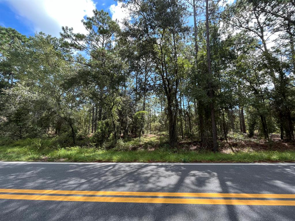 RAINBOW LAKES EST - Land