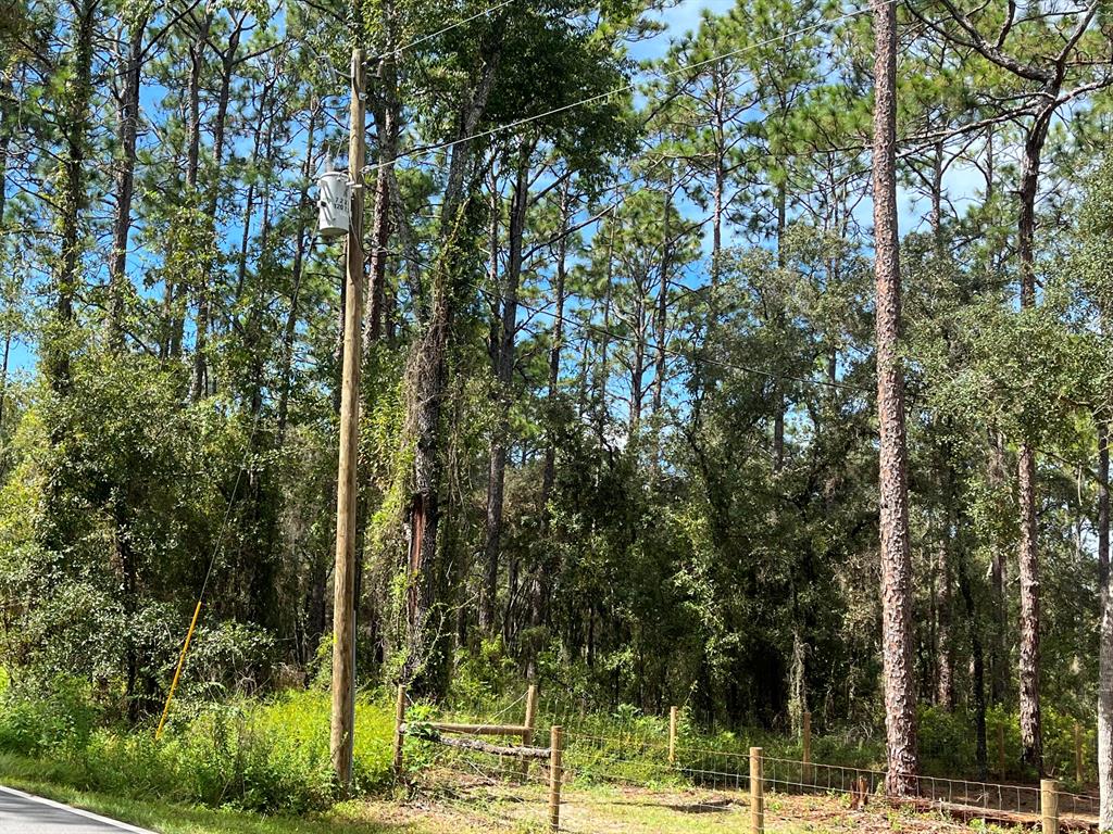 RAINBOW LAKES EST - Land