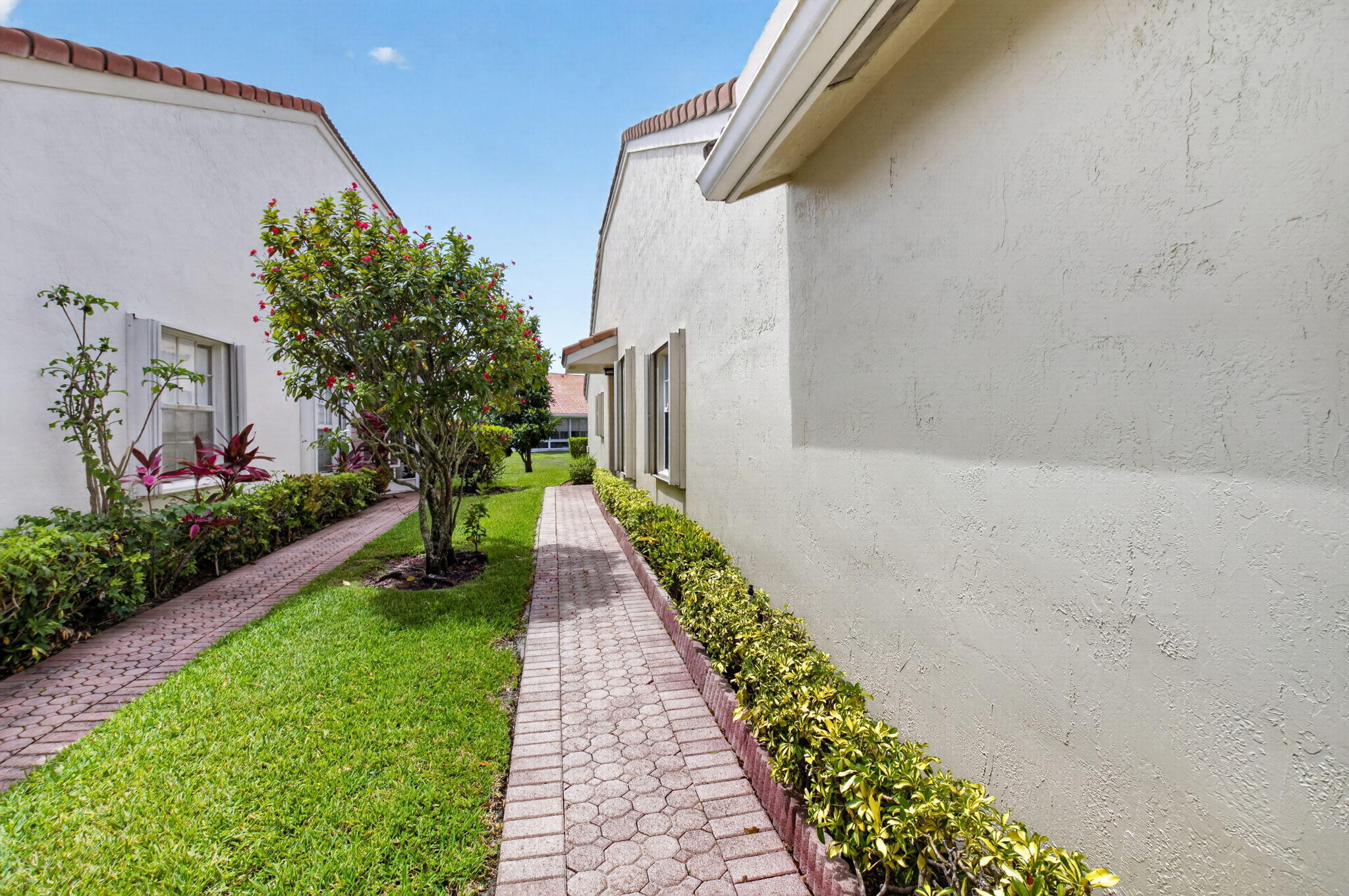 6180 Caladium Road