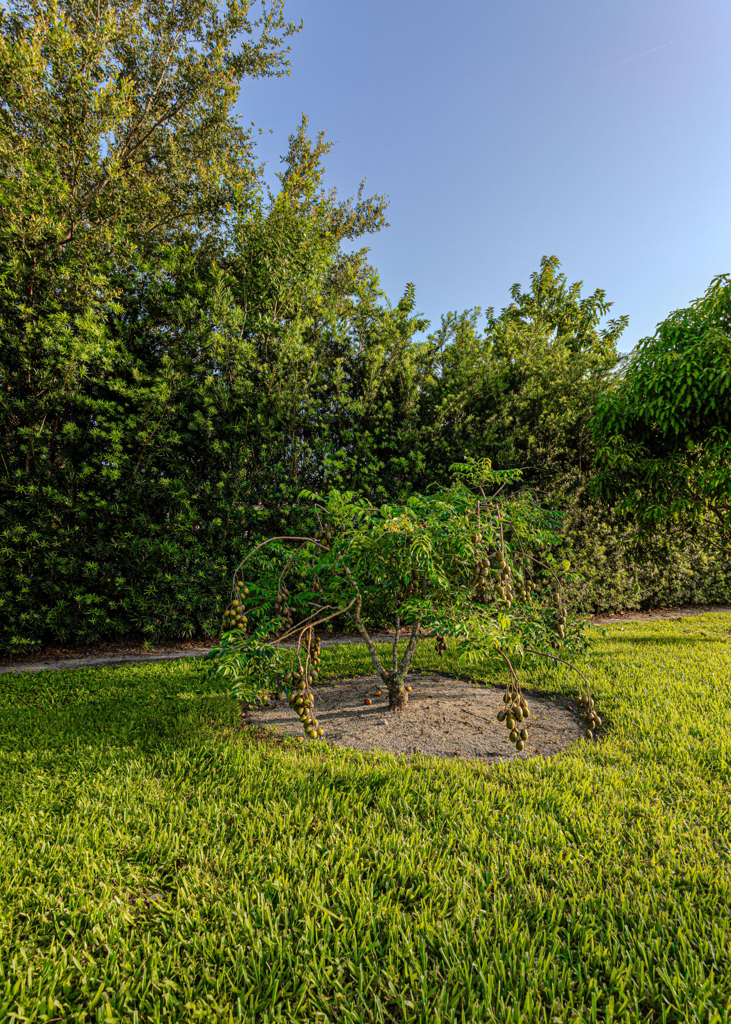 PLANTATION NEIGHBORS PLAT 3 - Residential