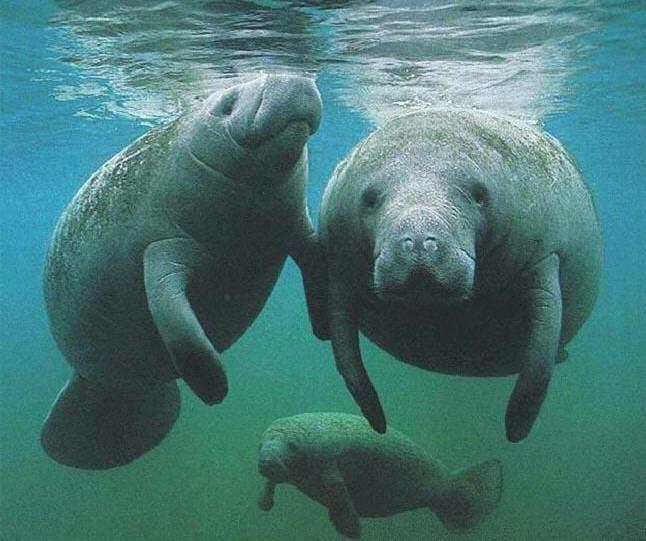 INVERNESS HIGHLANDS SOUTH - Land