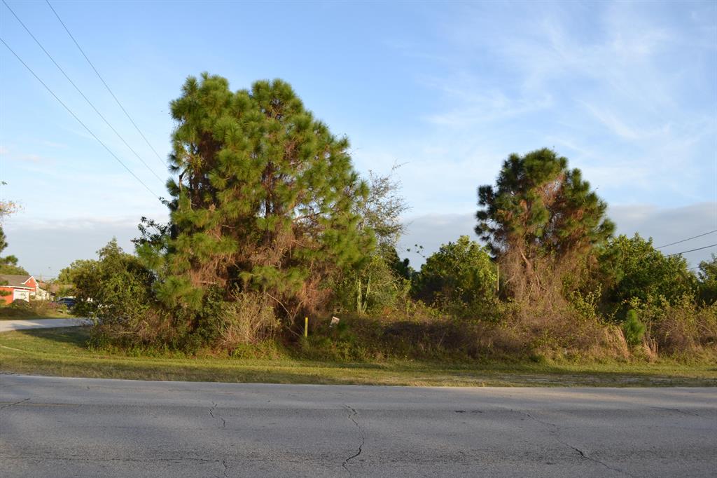 PORT ST LUCIE SECTION 15 - Land