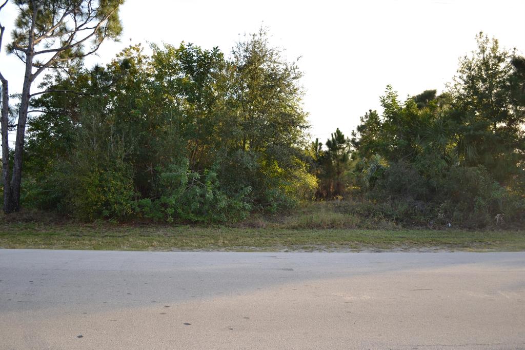 PORT ST LUCIE SECTION 15 - Land