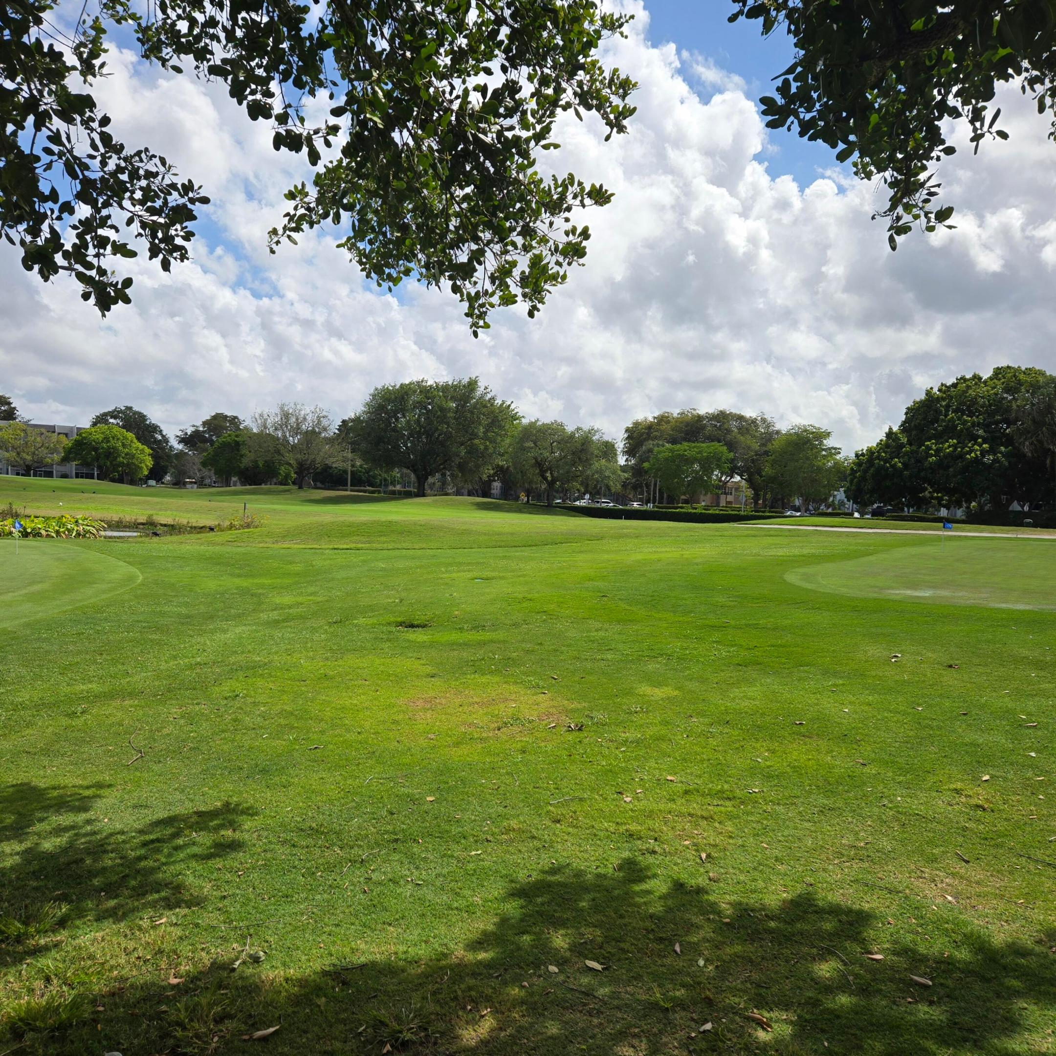 LIVE OAK CONDO SIX - Residential