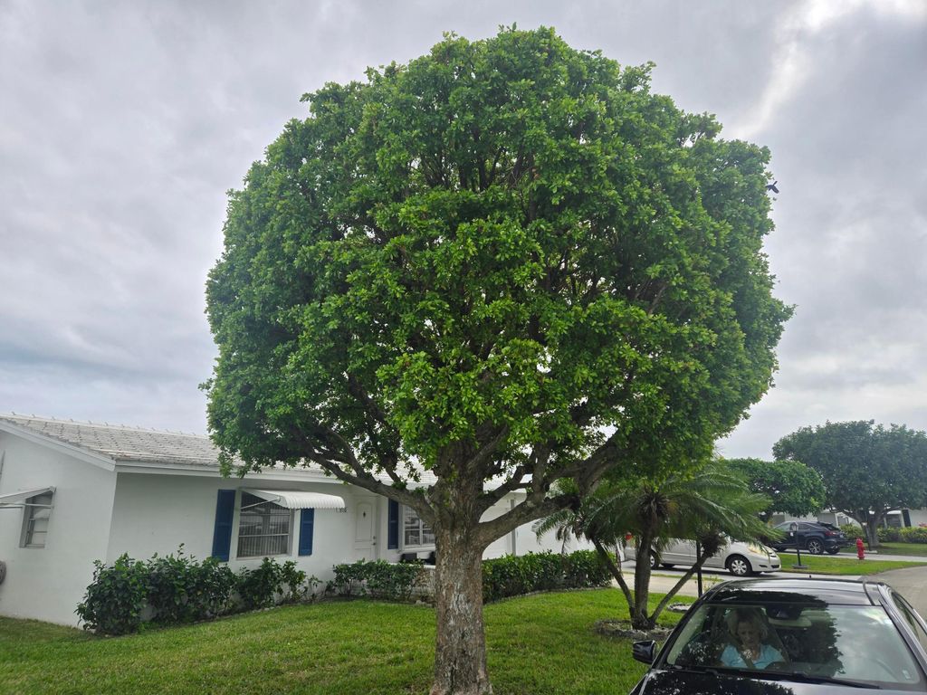 Photo of 814 SW 18th Court, Boynton Beach, FL 33426 (MLS # R11065134)