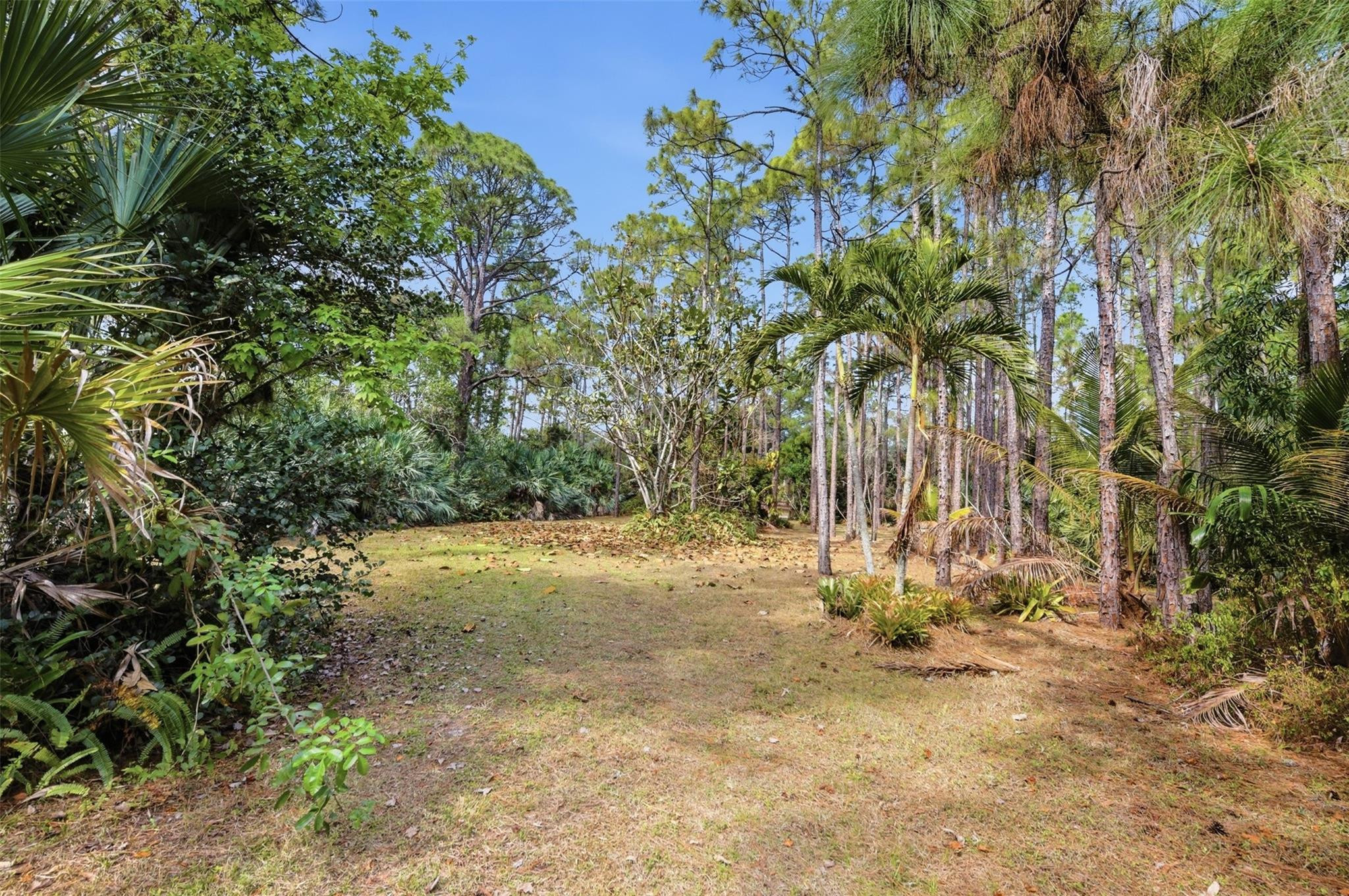 Caloosa 1st Add - Residential