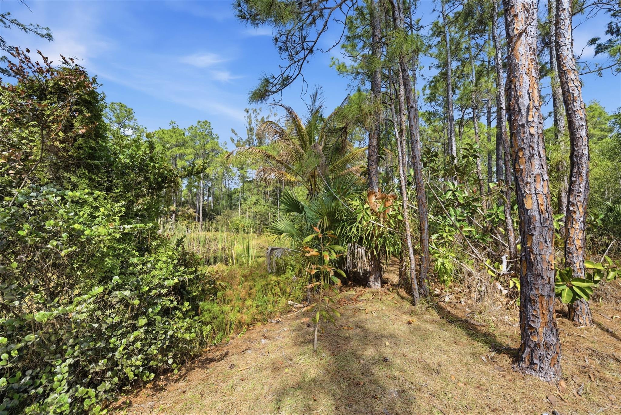 Caloosa 1st Add - Residential