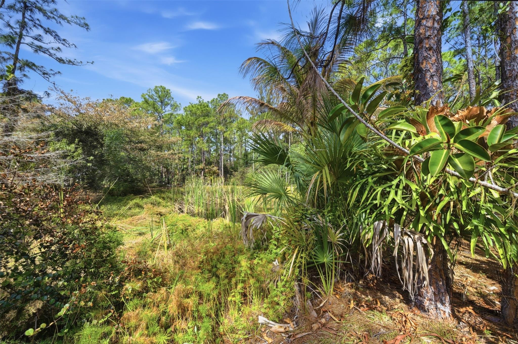 Caloosa 1st Add - Residential