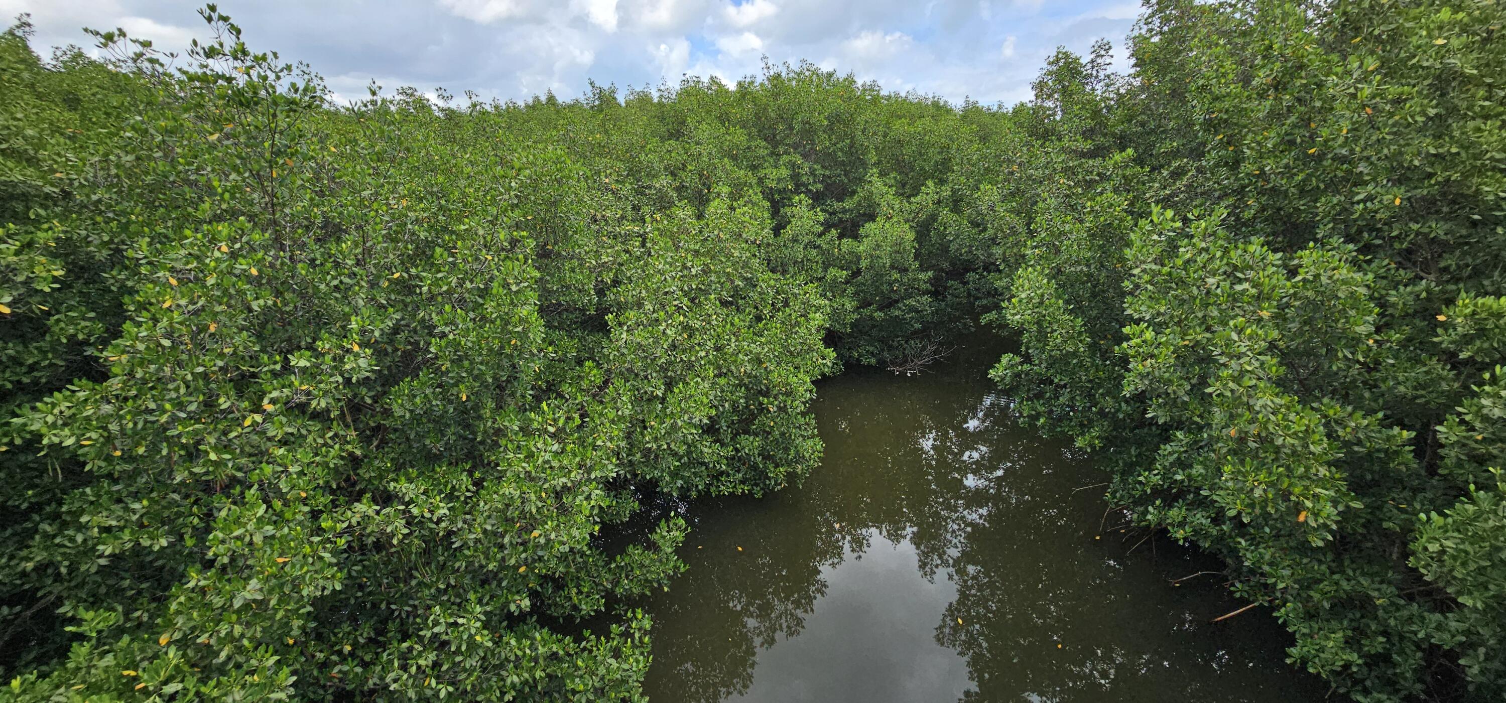 SURFSIDE HARBOR - Land